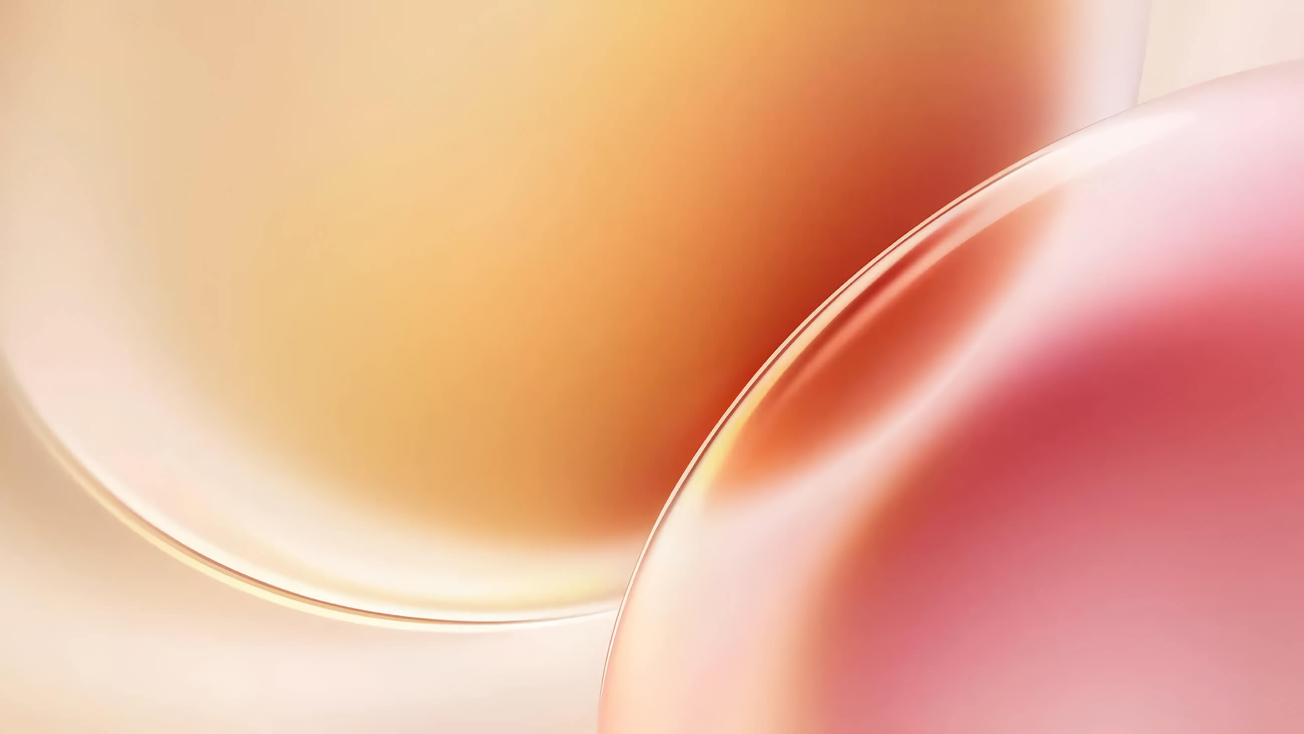 Splashscreen